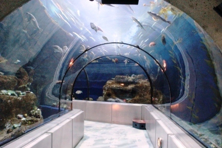 Aquarium du Quebec