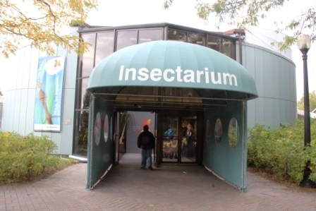 Insectarium de Montreal