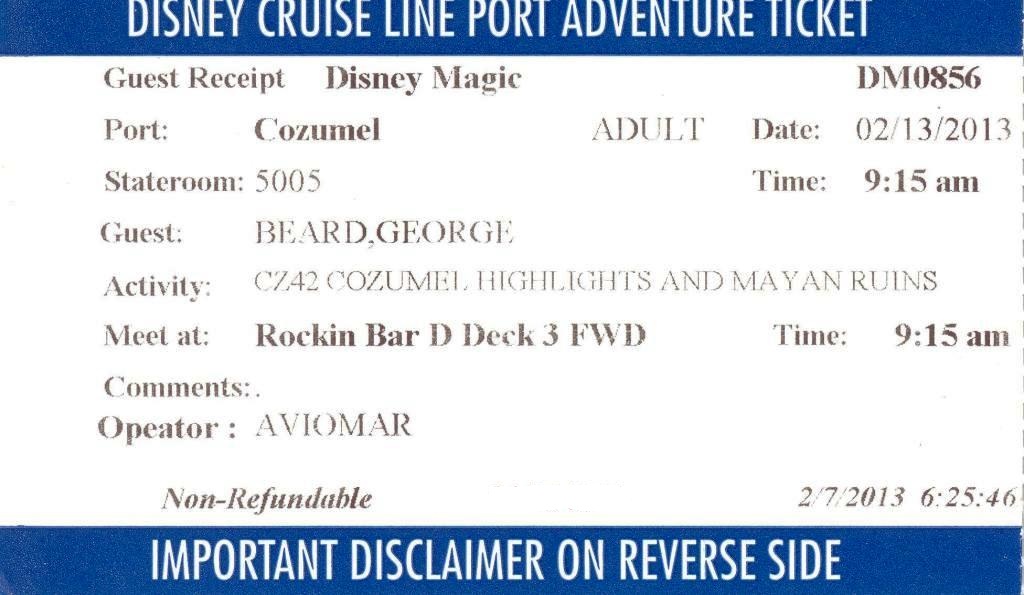 Port Adventures Ticket - Cozumel